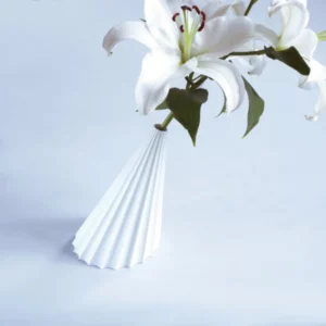 OPERA, the stem vase